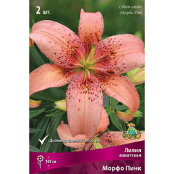 ����  ����� ��������� ����� ���� (2 ��.), ������ �� 394 ���