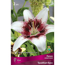 ����  ����� ��������� ������� ���� (2 ��.), ������ �� 394 ���