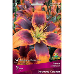 ����  ����� ��������� ������� ������ (2 ��.), ������ �� 394 ���