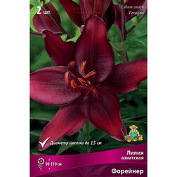 ����  ����� ��������� �������� (2 ��.), ������ �� 319 ���