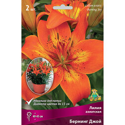 ����  ����� ��������� ��������� ������� ���� (2 ��.), ������ �� 299 ���