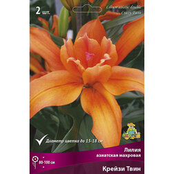 ����  ����� ��������� �������� ������ ���� (2 ��.), ������ �� 462 ���