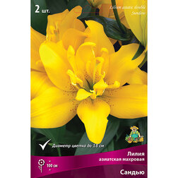 ����  ����� ��������� �������� ������ (2 ��.), ������ �� 462 ���