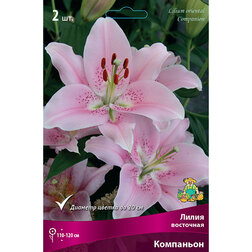 ����  ����� ��������� ��������� (2 ��.), ������ �� 333 ���