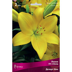 ����  ����� ��-������ ������ ��� (2 ��.), ������ �� 268 ���