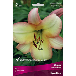 ����  ����� ��-������ ���� ���� (2 ��.), ������ �� 319 ���