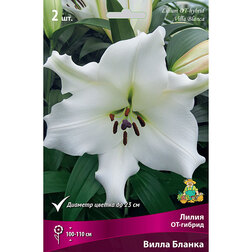 ����  ����� ��-������ ����� ������ (2 ��.), ������ �� 319 ���