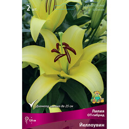 ����  ����� ��-������ ��������� (2 ��.), ������ �� 319 ���