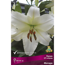 ����  ����� ��-������ ������ (2 ��.), ������ �� 319 ���