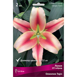 ����  ����� ��-������ ������� ���� (2 ��.), ������ �� 319 ���