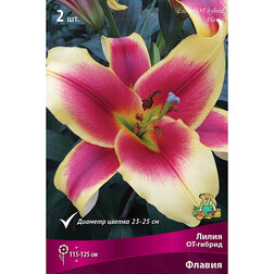 ����  ����� ��-������ ������ (2 ��.), ������ �� 319 ���