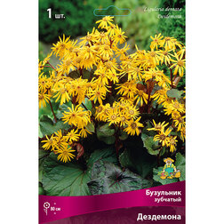 ����  ��������� �������� ���������, ������ �� 357 ���