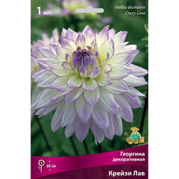 ����  �������� ������������ ������ ��� (1 ��.), ������ �� 462 ���