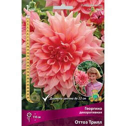 ����  �������� ������������ ����� ����� (1 ��.), ������ �� 467 ���