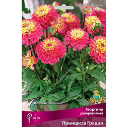 ����  �������� ������������ ��������� ������ (1 ��.), ������ �� 467 ���