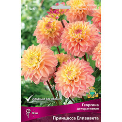 ����  �������� ������������ ��������� ��������� (1 ��.), ������ �� 467 ���