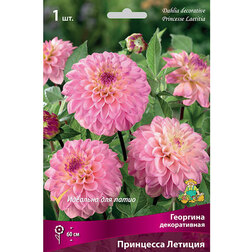 ����  �������� ������������ ��������� ������� (1 ��.), ������ �� 467 ���