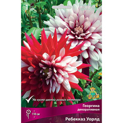 ����  �������� ������������ �������� ����� (1 ��.), ������ �� 583 ���