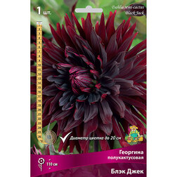 ����  �������� �������������� ���� ���� (1 ��.), ������ �� 555 ���