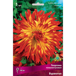 ����  �������� �������������� �������� (1 ��.), ������ �� 421 ���