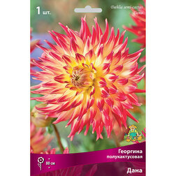 ����  �������� �������������� ���� (1 ��.), ������ �� 433 ���