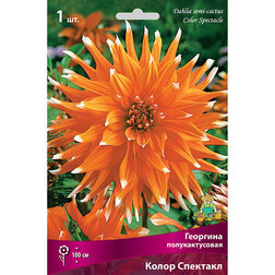 ����  �������� �������������� ����� �������� (1 ��.), ������ �� 421 ���