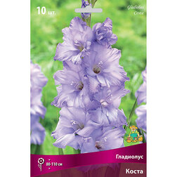 ����  ��������� ��������������� ����� (10 ��.), ������ �� 476 ���