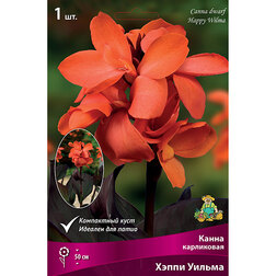 ����  ����� ���������� ����� ������ (1 ��.), ������ �� 326 ���