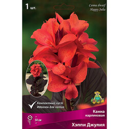 ����  ����� ���������� ����� ������ (1 ��.), ������ �� 326 ���