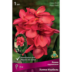 ����  ����� ���������� ����� ������� (1 ��.), ������ �� 326 ���