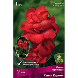 ����  ����� ���������� ����� ������ (1 ��.), ������ �� 326 ���