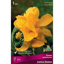 ����  ����� ���������� ����� ����� (1 ��.), ������ �� 326 ���