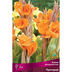 ����  ����� ������������ �������� (1 ��.), ������ �� 416 ���