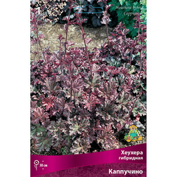 ����  ������� ��������� ���������, ������ �� 657 ���