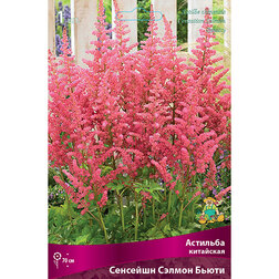 ����  �������� ��������� �������� ������ �����, ������ �� 336 ���