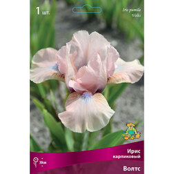 ����  ���� ���������� �����, ������ �� 372 ���