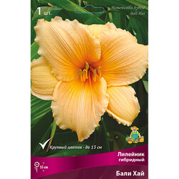 ����  �������� ��������� ���� ���, ������ �� 348 ���