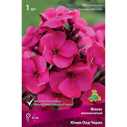 ����  ����� ����������� ���� ��� �����, ������ �� 328 ���