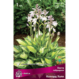 ����  ����� ��������� ������ ����, ������ �� 268 ���