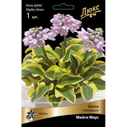 ����  ����� ��������� ����� ����, ������ �� 634 ���