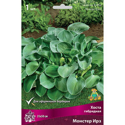 ����  ����� ��������� ������� ���, ������ �� 402 ���