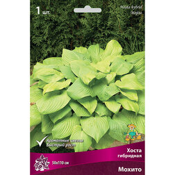 ����  ����� ��������� ������, ������ �� 292 ���