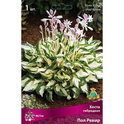 ����  ����� ��������� ��� �����, ������ �� 552 ���