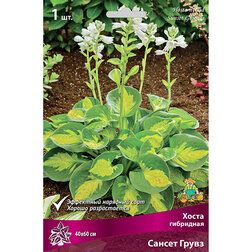 ����  ����� ��������� ������ �����, ������ �� 292 ���