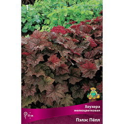 ����  ������� �������������� ����� ϸ��, ������ �� 357 ���