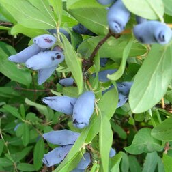 ����  ��������� ��������� ��������, ������ �� 349 ���