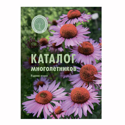 ����  ������� ������������� (����), ������ �� 3900 ���