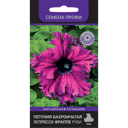 ����  ������� ����������� �������� ������ ���� (������ �����), ������ �� 72 ���