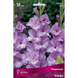 ����  ��������� �����, ������ �� 433 ���