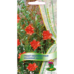 ����  ������ ������������ ��������� ������, ������ �� 176 ���